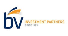 BV Investment Partners | Since 1983 logo
